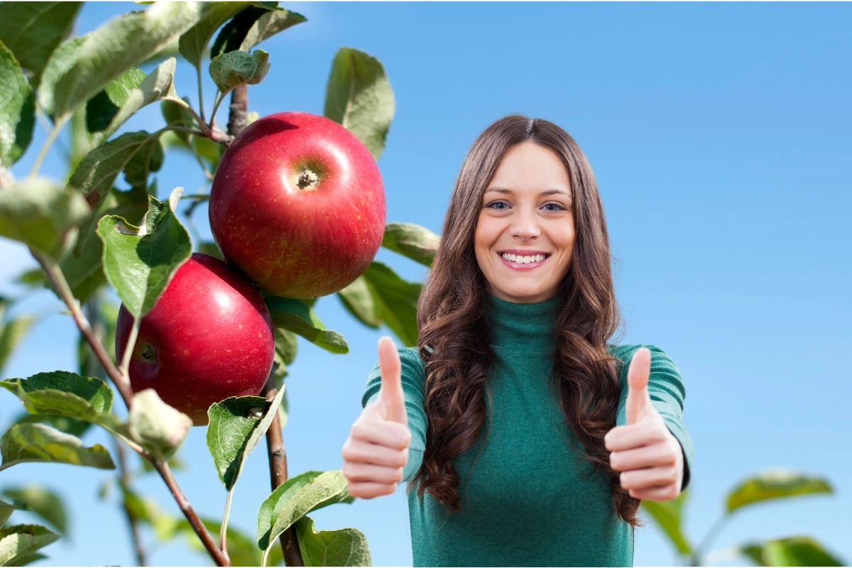 Pomme : Attention, voici pourquoi vous devriez en manger tous les jours !